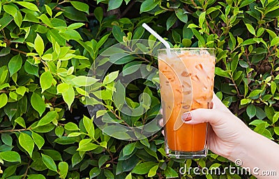 Hand woman holding the glass iced milk tea on green nature Stock Photo