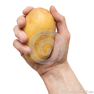 Hand of a woman holding a potato isolated Stock Photo
