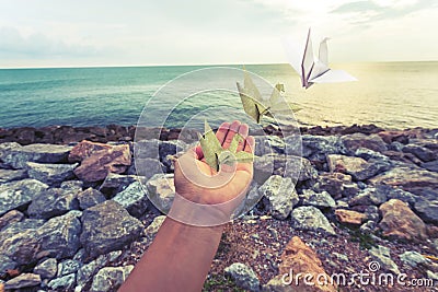 Hand of woman and origami birds Origami Crane Stock Photo