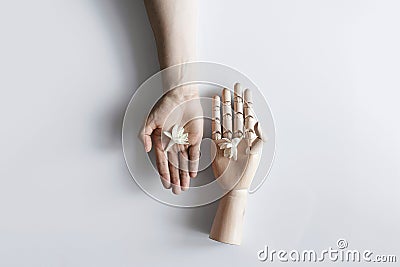 Hand and wooden hand Stock Photo