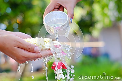 Hand of young woman pour water and flowers on the hands. older women and happy for the songkran festival. concept gives blessing Stock Photo