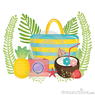 Handbag female with fruits and camera photographic Vector Illustration