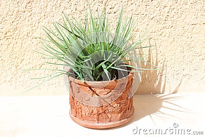 HANDCRAFTED SICILIAN CLAY JAR OF ITALY Stock Photo