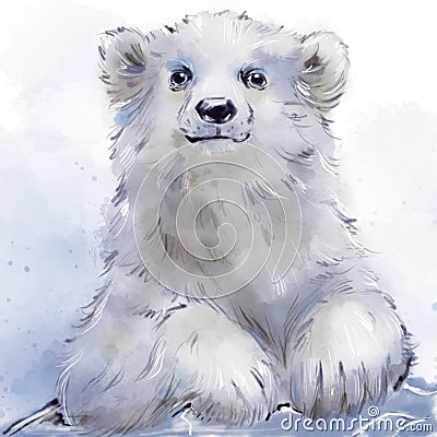 Handdraw animal watercolor baby polarbear white bear Stock Photo