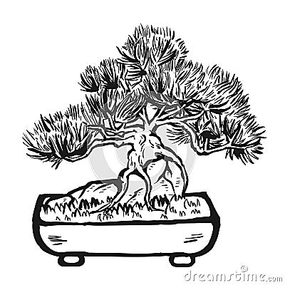 Handdrawn decorative asian bonsai tree Vector Illustration