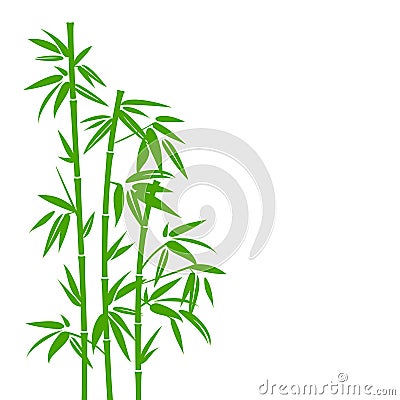 Handdrawn Green Bamboo Plant Background Vector Illustration