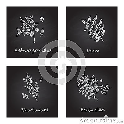 Handdrawn Illustration - Health and Nature Set Vector Illustration