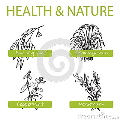 Handdrawn Set - Health and Nature. Collection of Vector Illustration