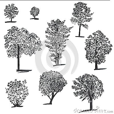 Handdrawn set of ink trees. Set of sketched illustrations. Black ink and brush sketches of spruce for cards and package Cartoon Illustration