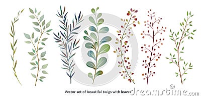 Handdrawn Vector Watercolour style, nature illustration. Set of Vector Illustration