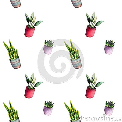 Handdrawn watercolor seamless pattern with house plants Stock Photo