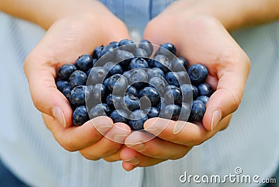 Handful of Blueberries Stock Photo