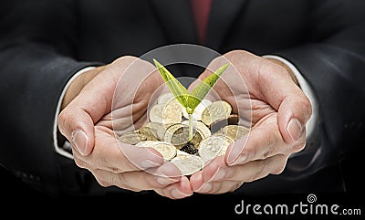 Handful with coins and single seed Stock Photo