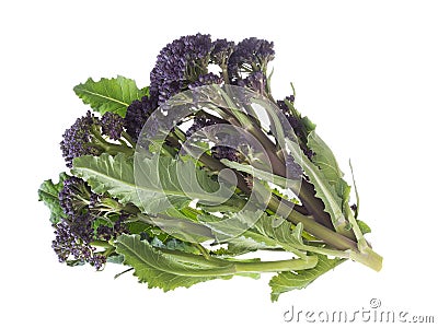 Handful of early purple sprouting broccoli spring vegetable, isolated on white. Overhead view. Stock Photo