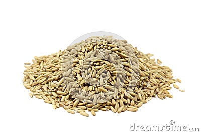 Handful of grains of oats Stock Photo