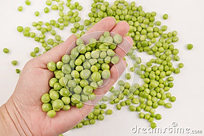 A handful of green peas in the hand of an agronomist. Stock Photo