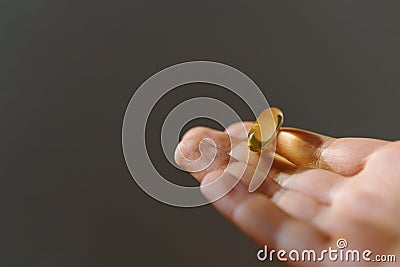 Handful with omega pills, healthy fats, vitamin E Stock Photo