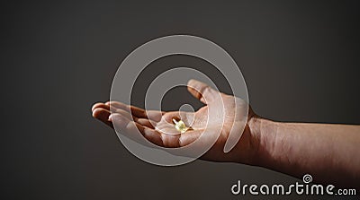 Handful with omega pills, healthy fats, vitamin E Stock Photo