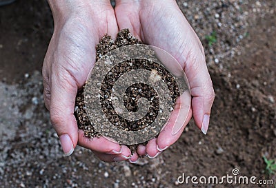 Handful of Rich Soil Stock Photo