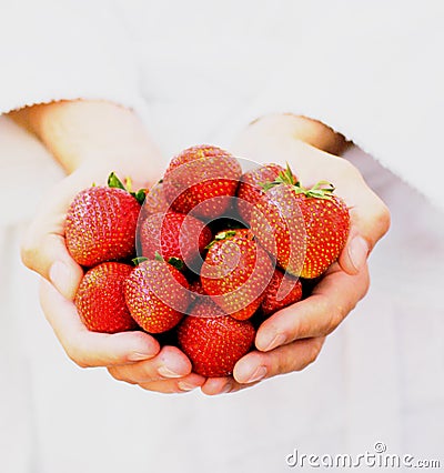 Handful of Strawberries Stock Photo