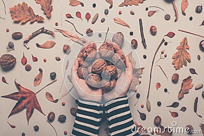 Handful of whole walnut fruit from above Stock Photo