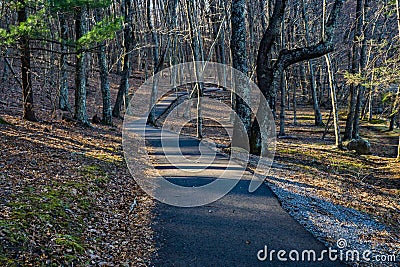 A Handicap Accessible Walking Trail Stock Photo