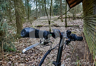 Handlebars of a bicycle in a forest, selective focus Stock Photo