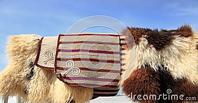 Handmade bags for storing bread and sheepskins against the sky. Turkmenistan. Ashkhabad market Stock Photo