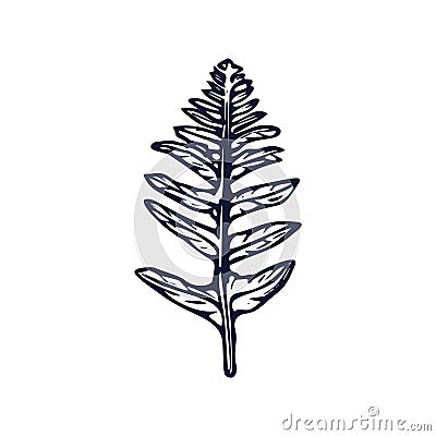 Handmade blockprint fern leaf vector motif clipart in folkart scandi style. Simple monochrome linocut plant shapes with Stock Photo