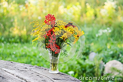 Handmade bouquet of wildflowers. Rowan berries on branch, goldenrog plant and tansy flowers. Floral composition in transparent Stock Photo