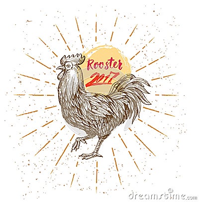 Handmade drawing Rooster Vector Illustration