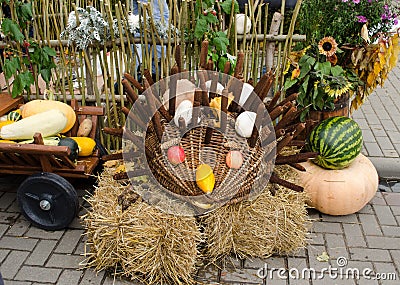 Handmade hedgehog autumn harvest goodie Stock Photo