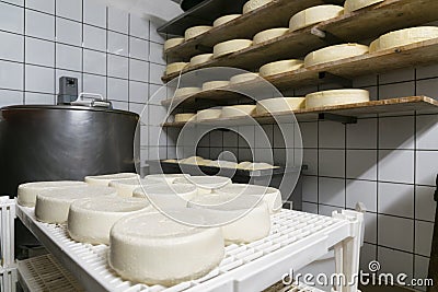 Handmade italian cheese production in mountain farm Stock Photo