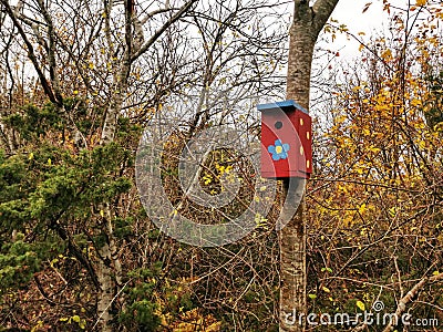 Handmade painted birdhouse hanging from a forest tree in Molen, Norway Stock Photo