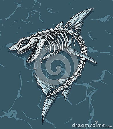 Great white shark fossil. Vector Illustration