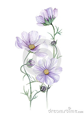 Handmade watercolor illustration of flowers. Cartoon Illustration