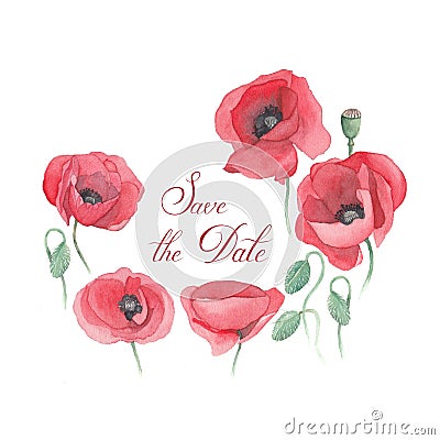 Handmade watercolor illustration of poppies Cartoon Illustration