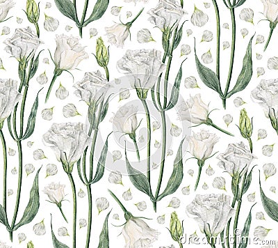 Handmade watercolor seamless pattern with white eustoma Stock Photo