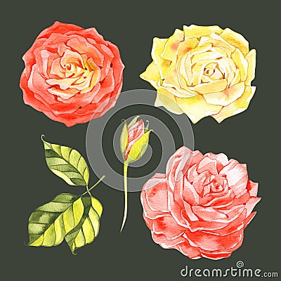 Handmade Watercolour tender red flower. Watercolor abstract rose Stock Photo