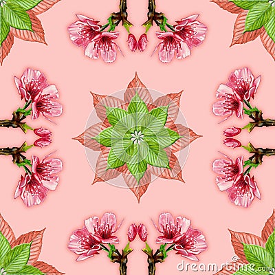 Handpainted Cherry Blossom on a soft Living Coral Background, Seamless Pattern Stock Photo