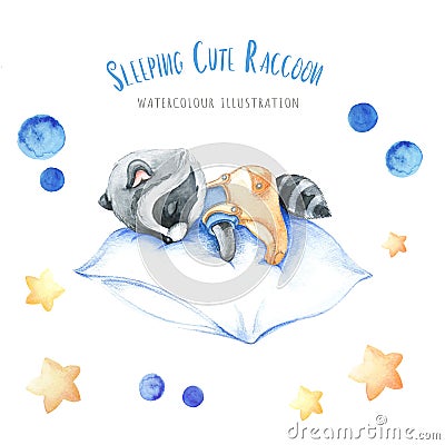 Handpainted illustration with sleeping raccoon Cartoon Illustration