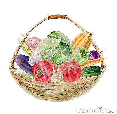 Handpainted watercolor clipart with fresh vegetables in basket Stock Photo