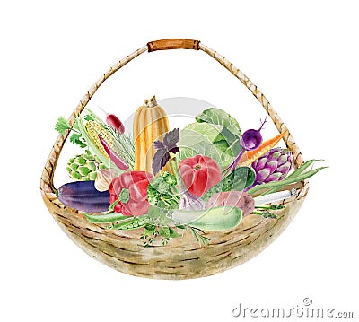 Handpainted watercolor clipart with fresh vegetables in basket Stock Photo