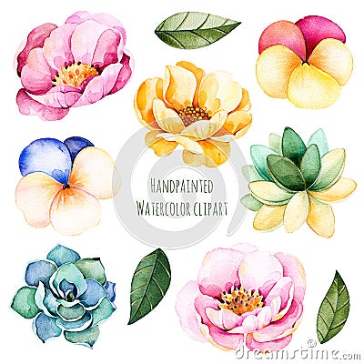 Handpainted watercolor flowers and leaves. Stock Photo