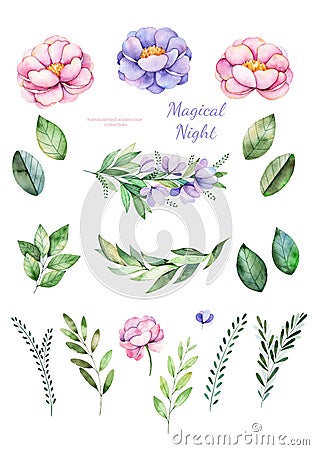 Handpainted watercolor flowers, leaves. Stock Photo