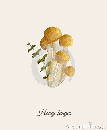Handpainted watercolor poster with honey fungus Stock Photo