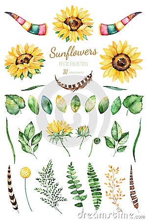 Handpainted watercolor sunflowers.31 bright watercolor clipart of sunflowers,leaves,branches,feathers,deer horns. Stock Photo