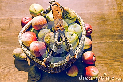 Handpicked fruits Stock Photo