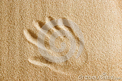 A handprint is drawn on the sand. Beach background. Top view. The concept of summer, summer kanikkuly, vacation, holydays Stock Photo