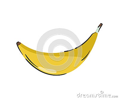 Hand drawn banana isolated on a white background. Vector illustration. Colorful and minimalistic fruit Vector Illustration